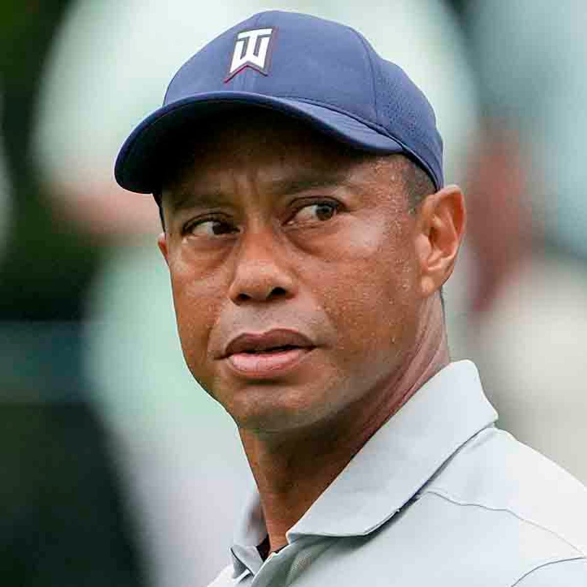 celebrities who fell from grace - tiger woods -