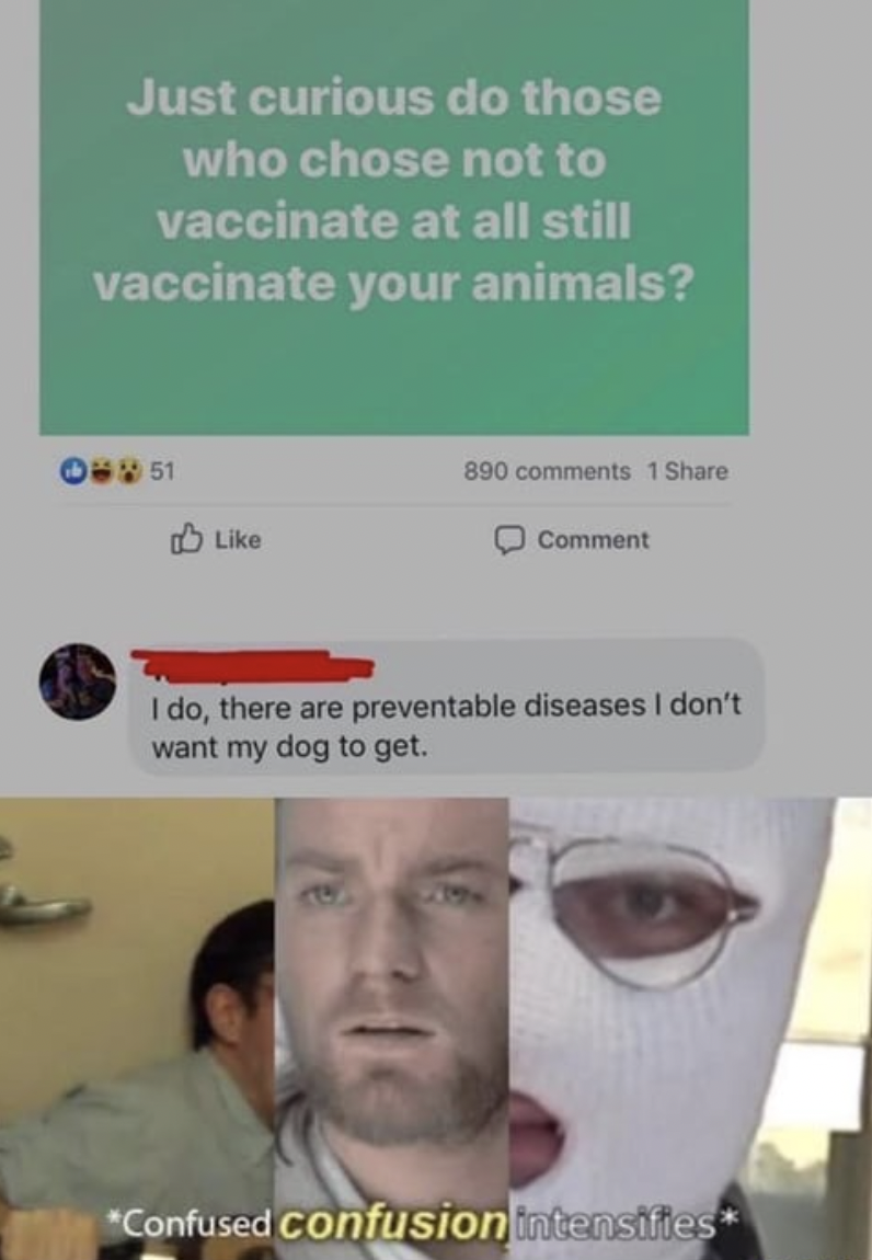 facepalms - head - Just curious do those who chose not to vaccinate at all still vaccinate your animals? 51 890 1 Comment I do, there are preventable diseases I don't want my dog to get. Confused confusion intensifies