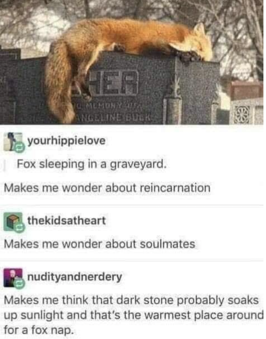 facepalms - fauna - Her Mcmon Ya Angeline Buck yourhippielove Fox sleeping in a graveyard. Makes me wonder about reincarnation thekidsatheart Makes me wonder about soulmates nudityandnerdery Makes me think that dark stone probably soaks up sunlight and th