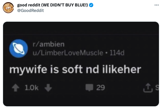 funny tweets - multimedia - good reddit We Didn'T Buy Blue! rambien uLimberLove Muscle 114d mywife is soft nd iher 29 ...