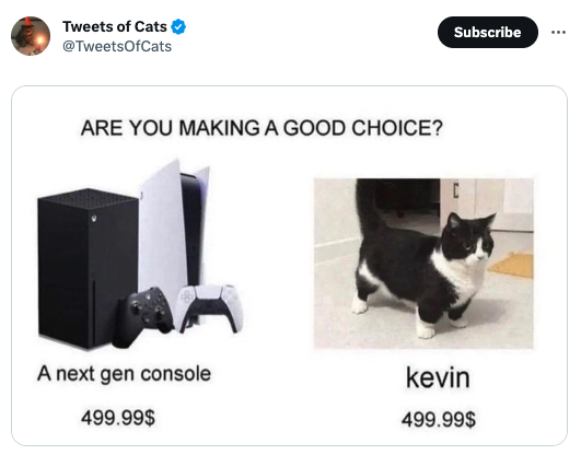funny tweets - cat - Tweets of Cats Are You Making A Good Choice? A next gen console 499.99$ Subscribe U kevin 499.99$