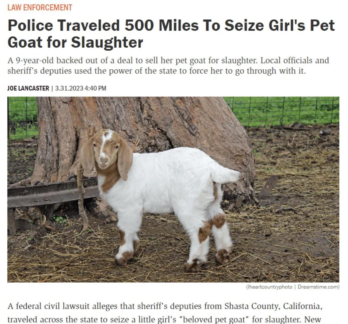 trashy people - 9 year old goat - Law Enforcement Police Traveled 500 Miles To Seize Girl's Pet Goat for Slaughter A 9yearold backed out of a deal to sell her pet goat for slaughter. Local officials and sheriff's deputies used the power of the state to fo