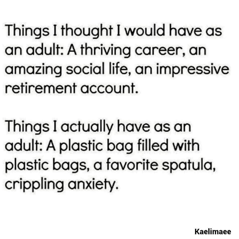 memes reddit twitter - handwriting - Things I thought I would have as an adult A thriving career, an amazing social life, an impressive retirement account. Things I actually have as an adult A plastic bag filled with plastic bags, a favorite spatula, crip