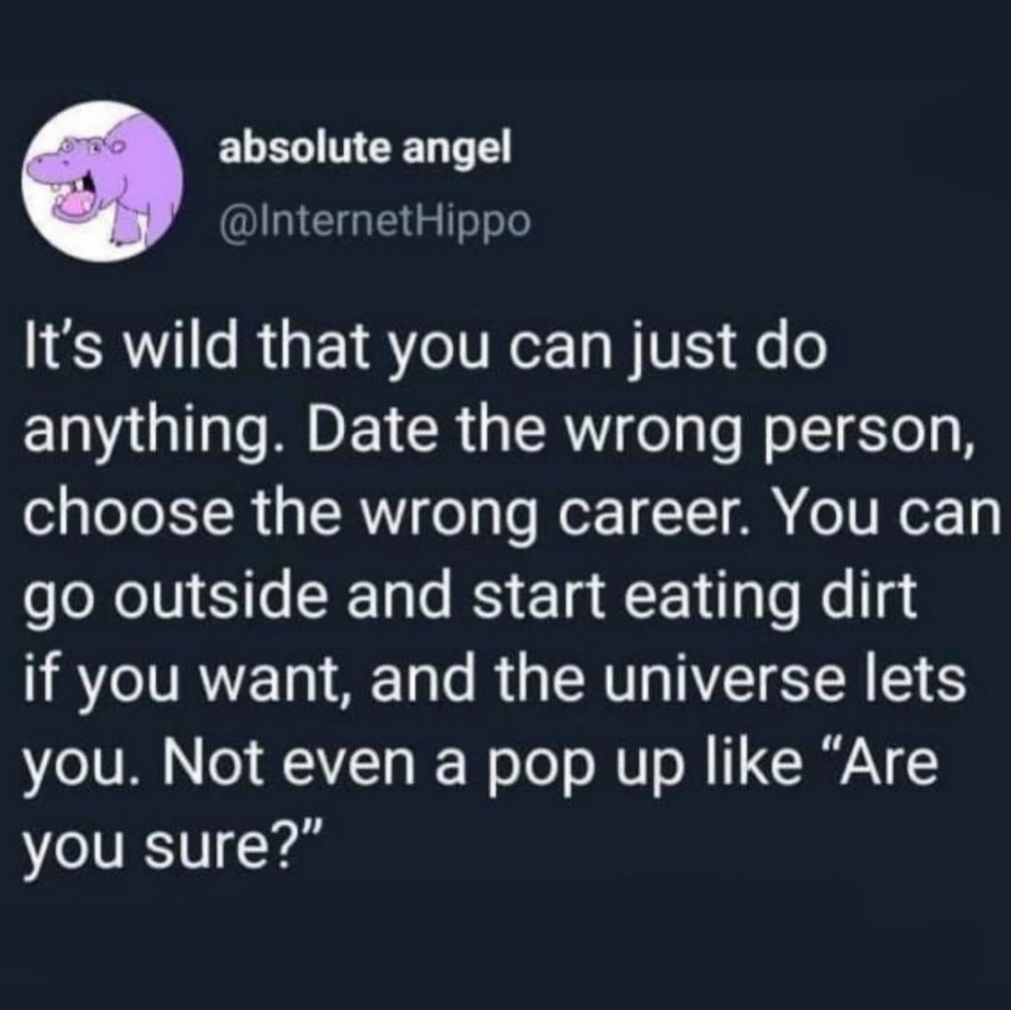 memes reddit twitter - anxiety memes - absolute angel Hippo It's wild that you can just do anything. Date the wrong person, choose the wrong career. You can go outside and start eating dirt if you want, and the universe lets you. Not even a pop up "Are yo