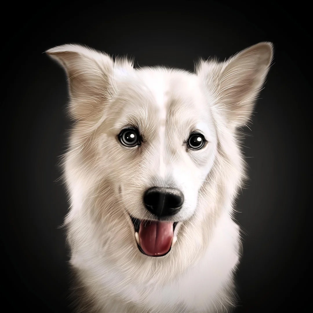 This amazing drawing of a dog. I thought it was a photograph for a second.