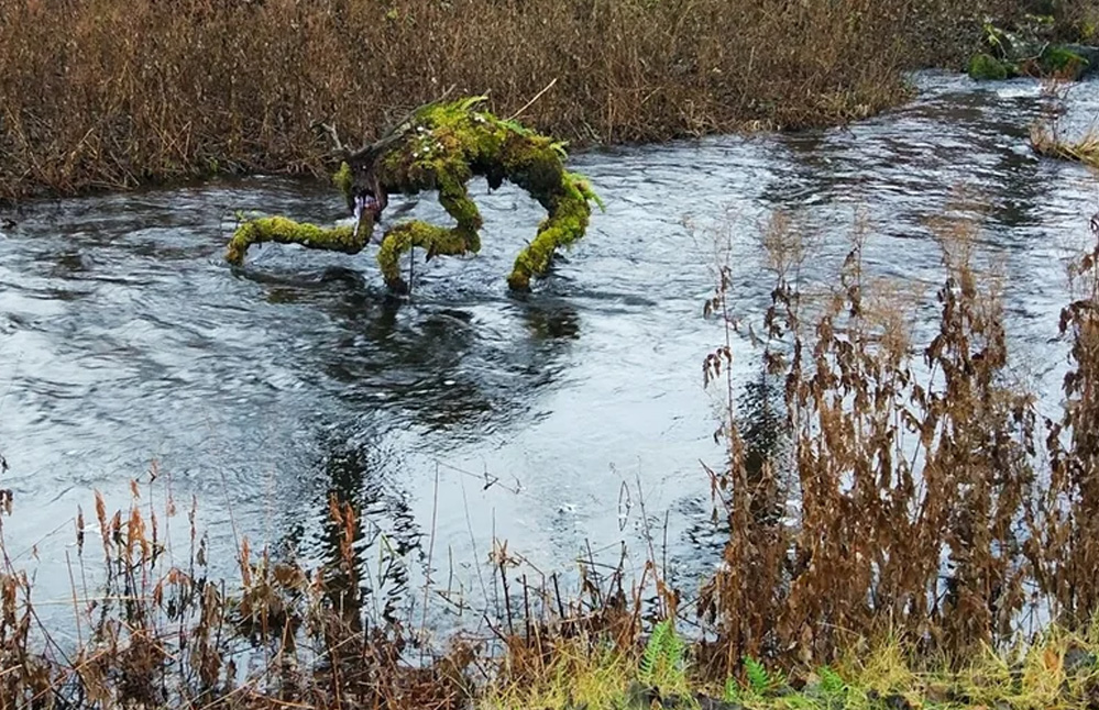 These old logs in a Swedish river look like a "River Troll".