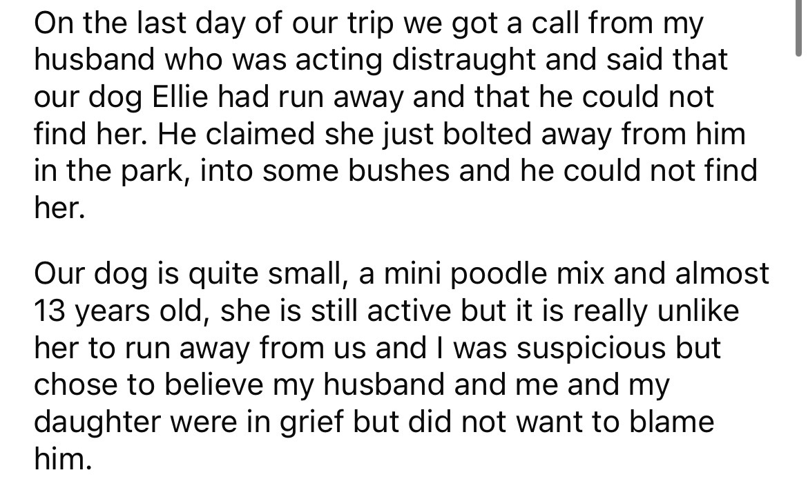 document - On the last day of our trip we got a call from my husband who was acting distraught and said that our dog Ellie had run away and that he could not find her. He claimed she just bolted away from him in the park, into some bushes and he could not