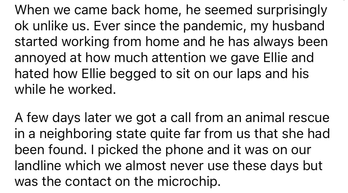 document - When we came back home, he seemed surprisingly ok un us. Ever since the pandemic, my husband started working from home and he has always been annoyed at how much attention we gave Ellie and hated how Ellie begged to sit on our laps and his whil