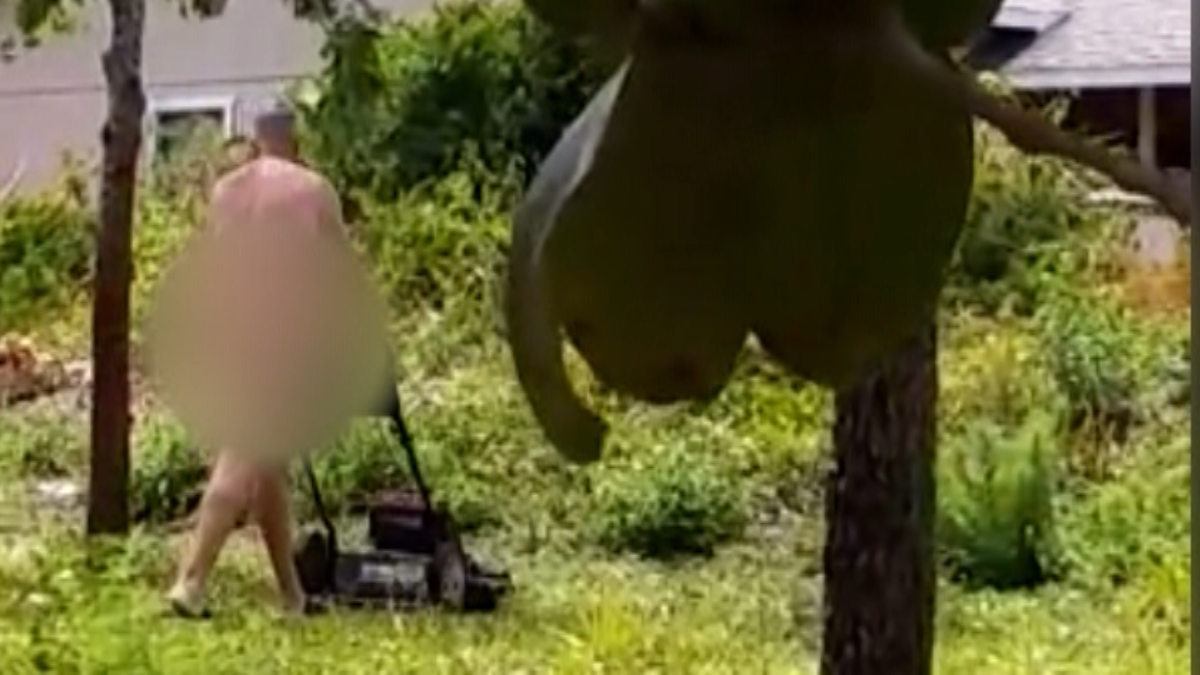 dumb laws and victimless crimes - woman mowing lawn naked