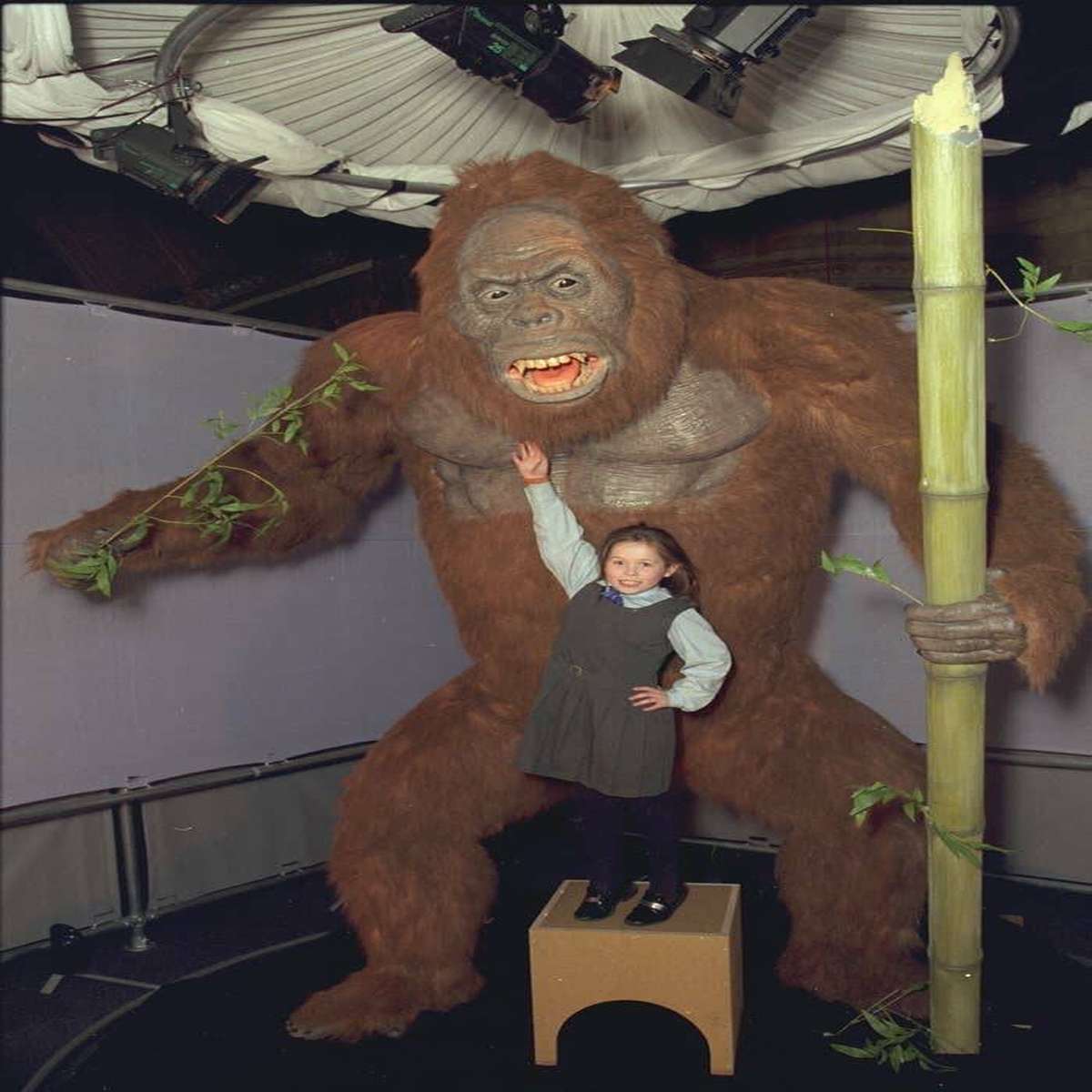 This is a model of a Gigantopithecus, the largest ape to ever live:It weighed over 1,000 pounds and stood 10 feet high.