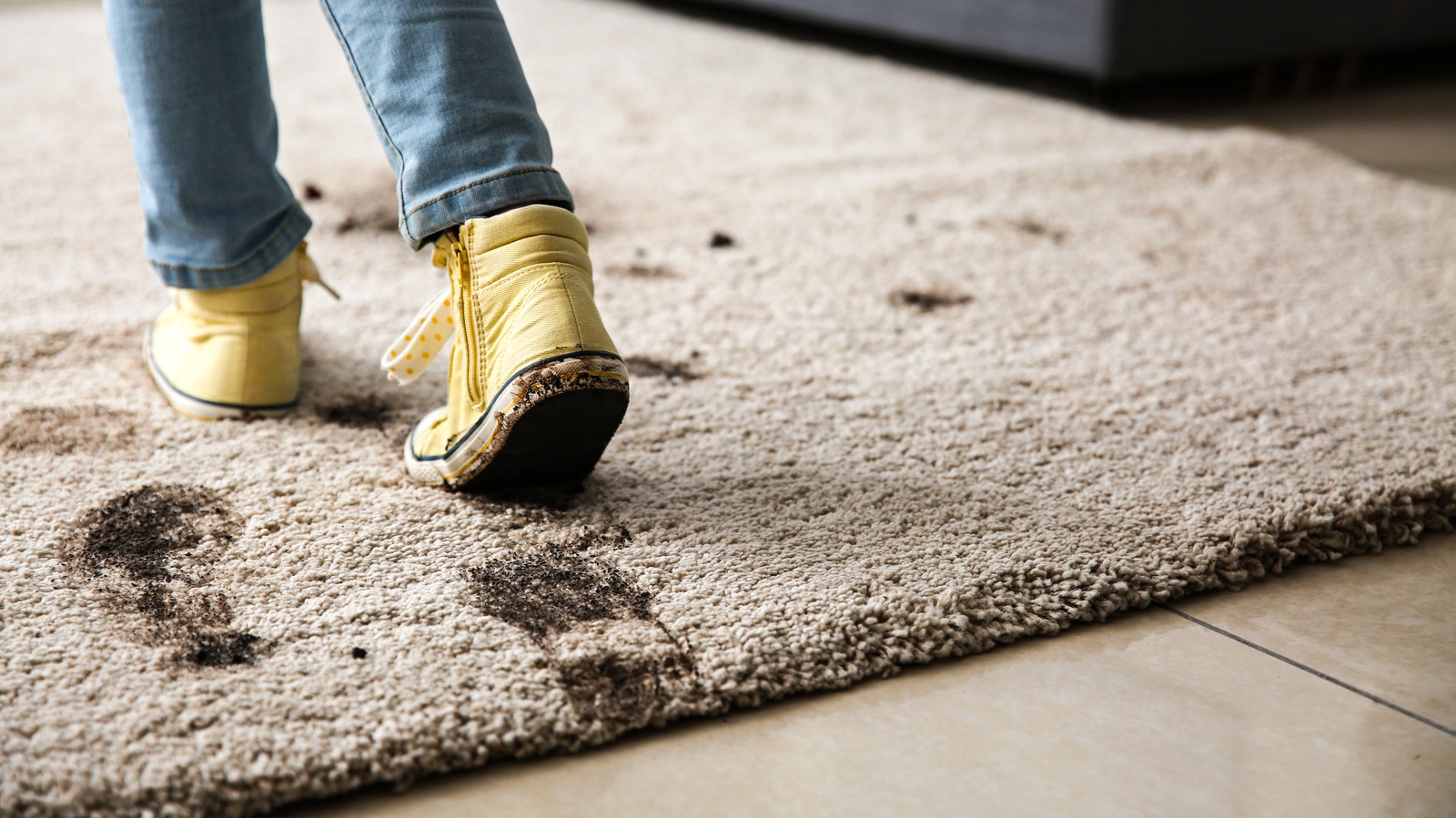 Roommate Horror Stories  - dirty carpet
