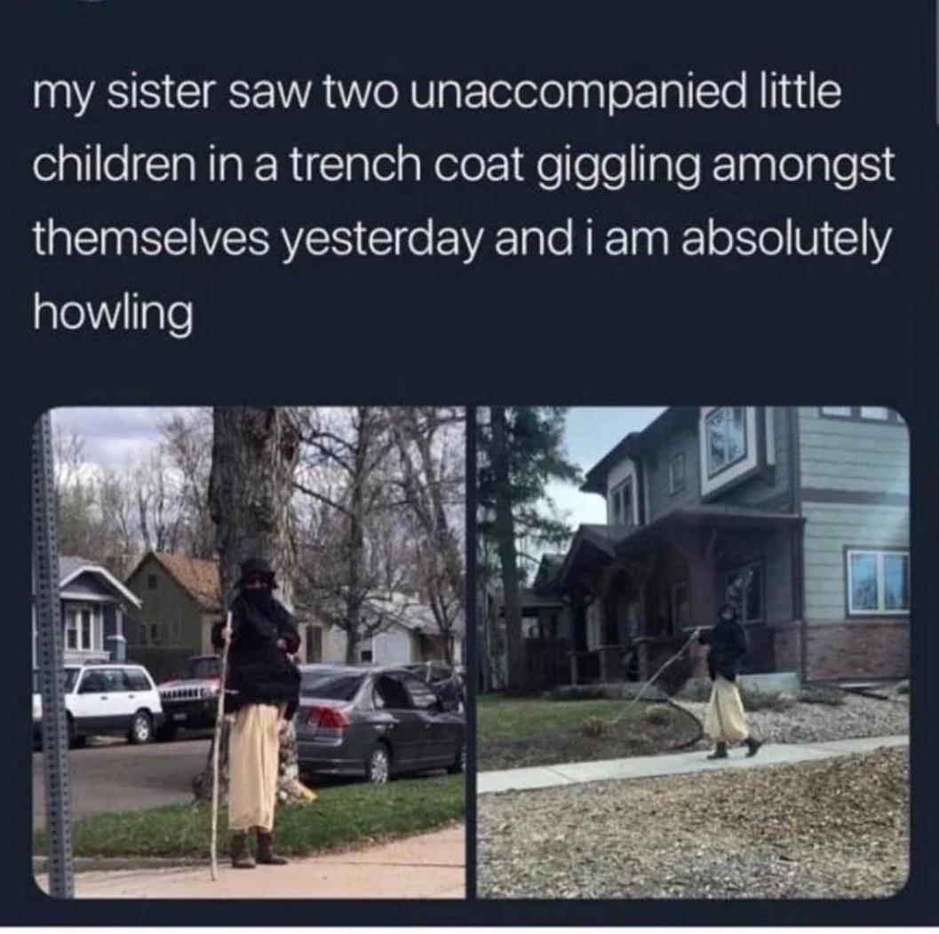 dank memes -  tree - my sister saw two unaccompanied little children in a trench coat giggling amongst themselves yesterday and i am absolutely howling