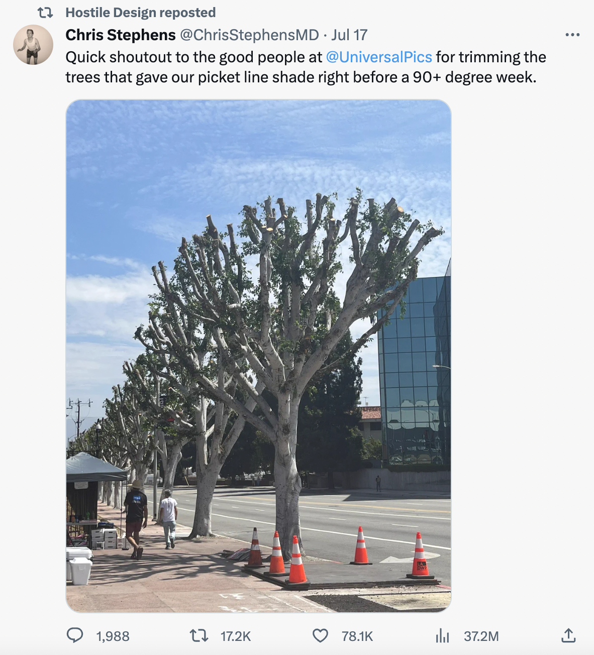 hostile design - universal studios tree trim - t Hostile Design reposted Chris Stephens Jul 17 Quick shoutout to the good people at Pics for trimming the trees that gave our picket line shade right before a 90 degree week. 1,988 13 37.2M
