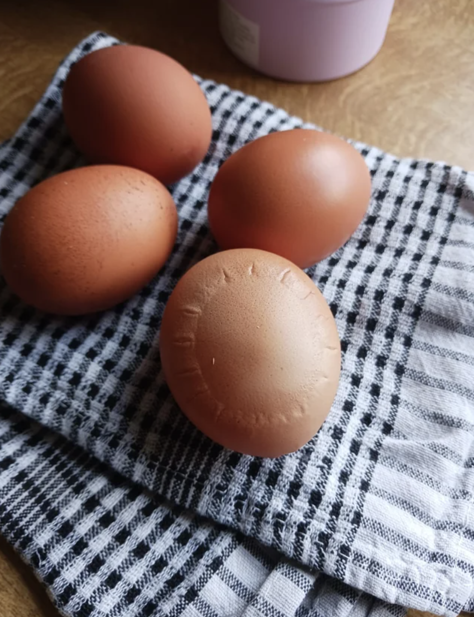 Strange markings on our chicken's egg this morning.