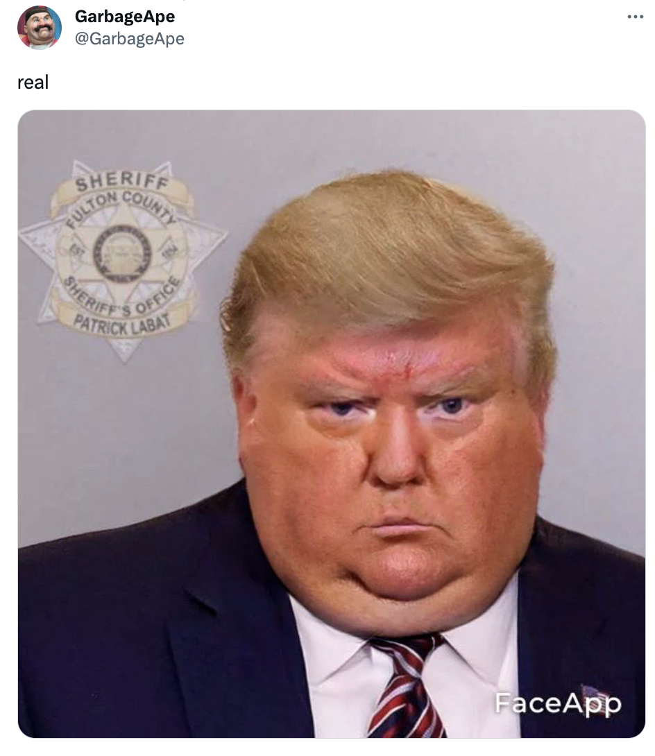 The Best Trump Mugshot Memes and Edits 