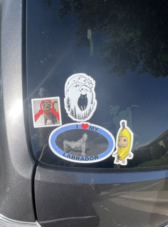28 Cars Doing Bumper Stickers the Right Way
