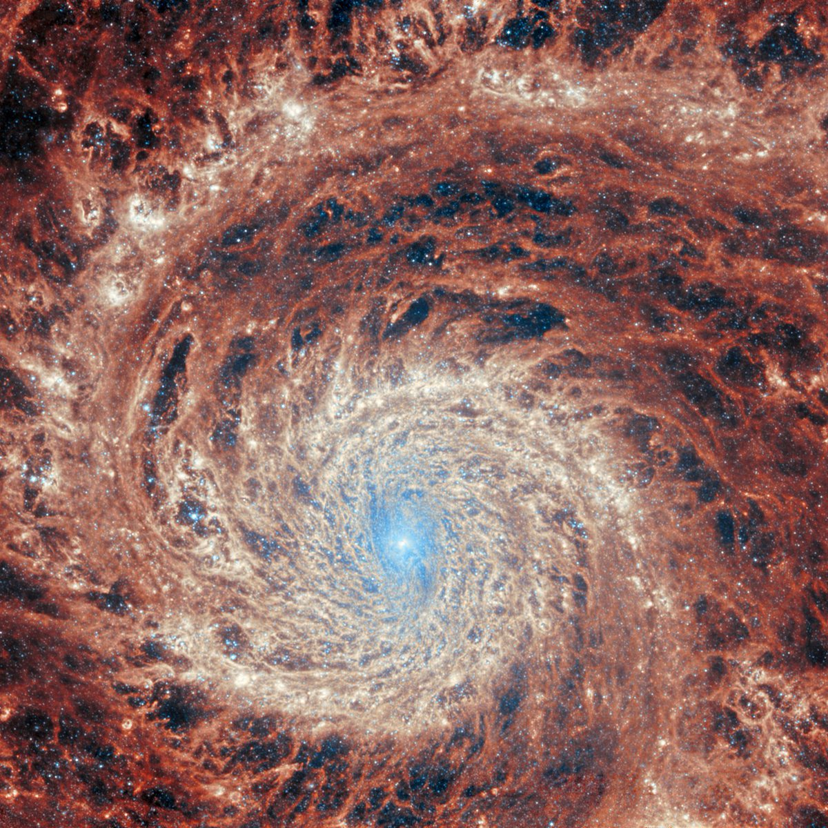 Ripple effect. Seen here by Webb's Mid-Infrared Instrument (MIRI) is the galaxy M51, also known as NGC 5194. The gravity of its neighbor, the dwarf galaxy NGC 5195, is thought to be partially responsible for those prominent & distinct spiral arms!