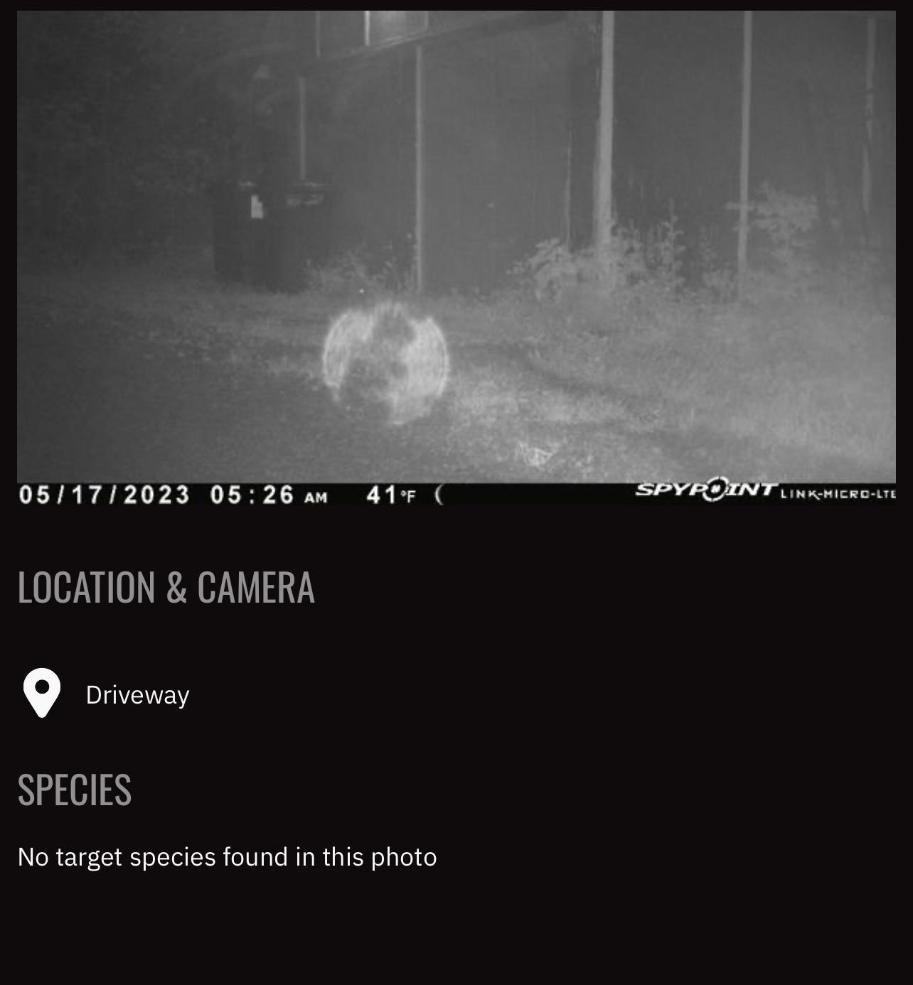 20 Ghost Photos and Creepy Experiences Haunting Our Nightmares