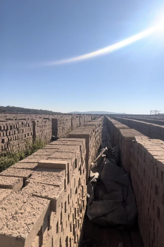 A yard filled with millions of bricks getting sun dried before heading to the oven to be baked.