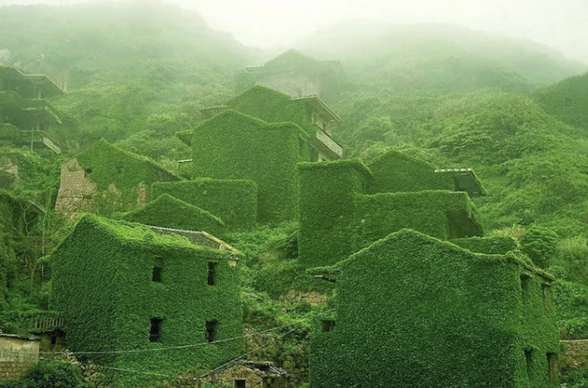 Abandoned Chinese fishing town reclaimed by nature.