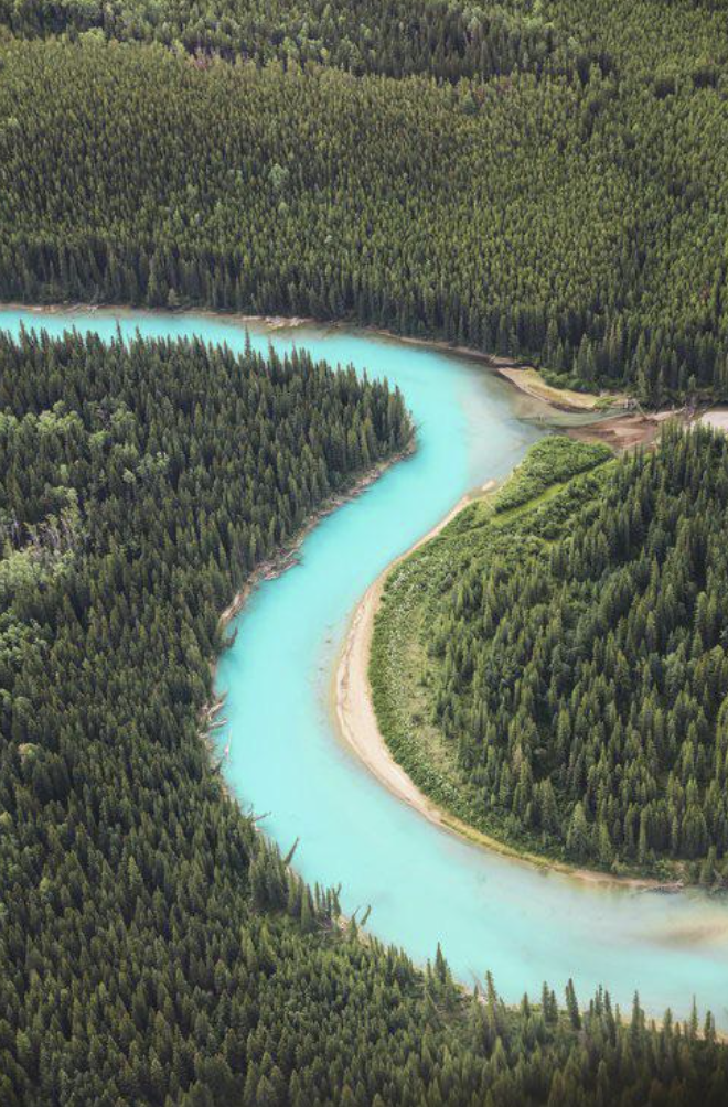 The glacially fed Bow River cutting through the dense woods of Banff National Park.