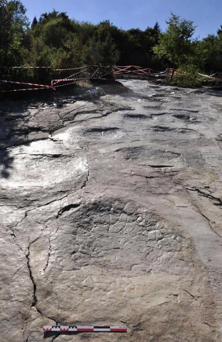 The longest set of footprints from sauropod dinosaurs in the world, in France’s Jura Mountains. Discovered in 2009, it consists of 110 footprints left by a sauropod over 150 million years ago.