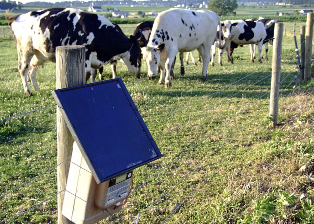 Solar powered electric fence.