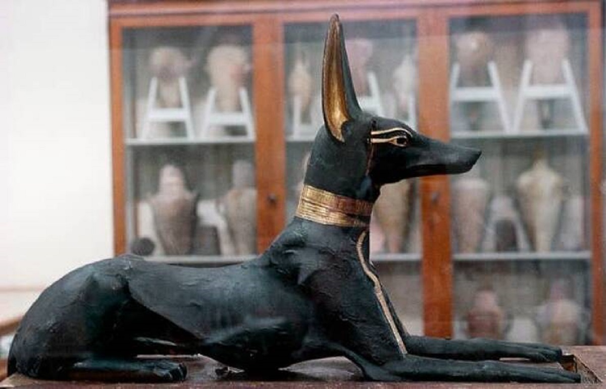 This is a statue of Anubis, the Egyptian god of the dead, that was found inside the pharaoh Tutankhamun's tomb: