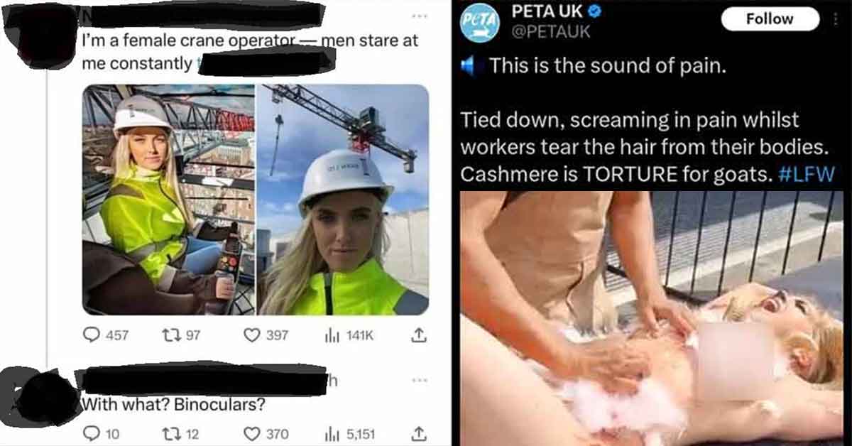 Whether it's a United States representative caught vaping and groping in a Denver theater, or a PETA activist completely overdoing her anti-shearing protest, there have been plenty of facepalmable moments from this weekend's news. <br><br> Therefore, we thought it apt to bring you 23 crazy cringe photos to help stay up with the emotional truth of the times. 