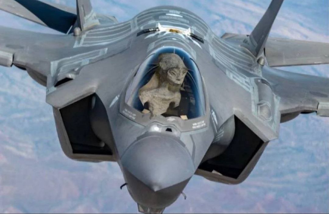 'Have You Seen This F-35?': The Funniest Missing F-35 Memes Worth ...