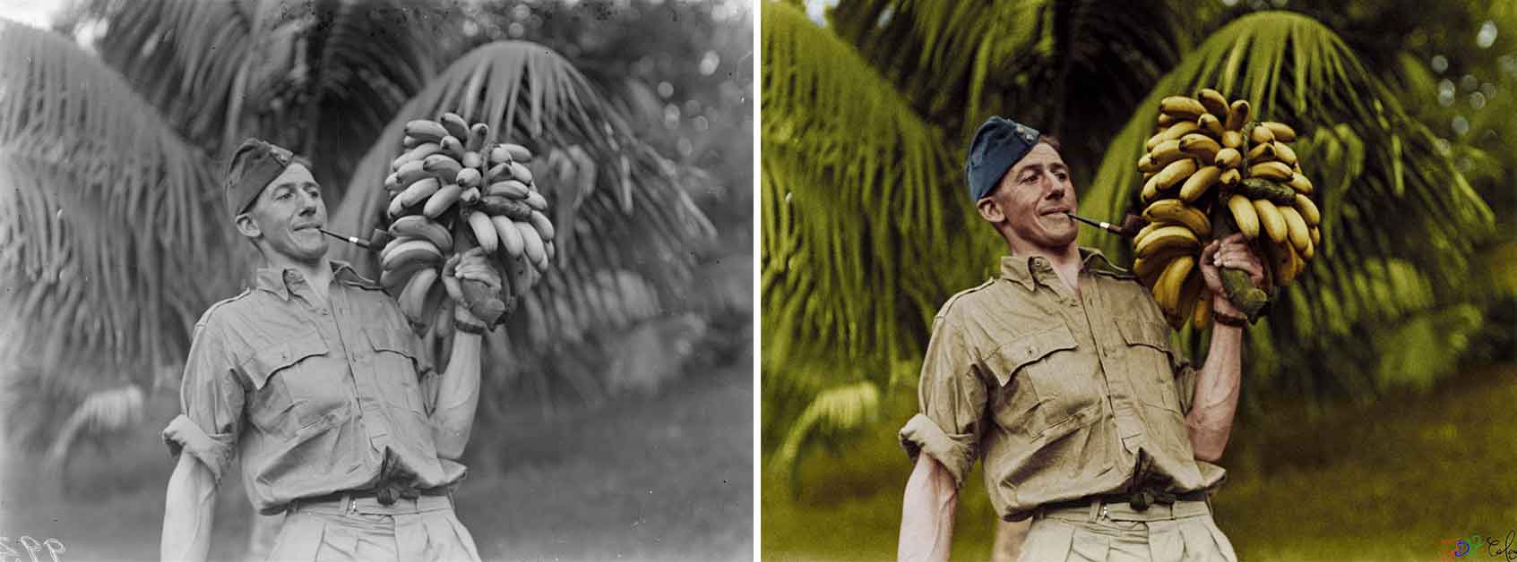 Flight Lieutenant HR Wigley, with a bunch of bananas. Norfolk Island, September 1943.
