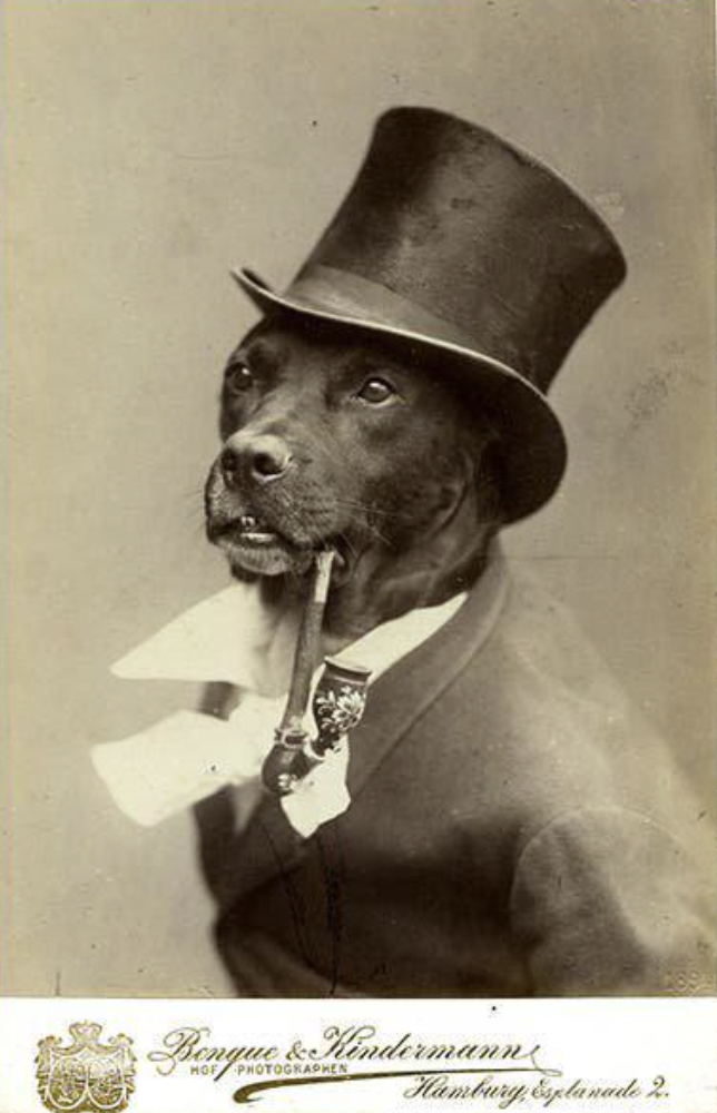 A dog with a top hat & pipe. Germany, 1894.
