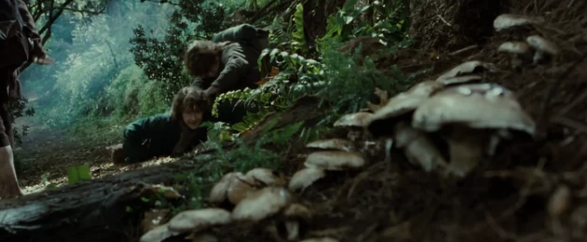 In “The Lord of the Rings: The Fellowship of The Ring,” after the hobbits fall down a hill, Sam asks "A shortcut to what?" and Pippin says "Mushrooms!" In the original book, chapter four is called "A Short Cut to Mushrooms".