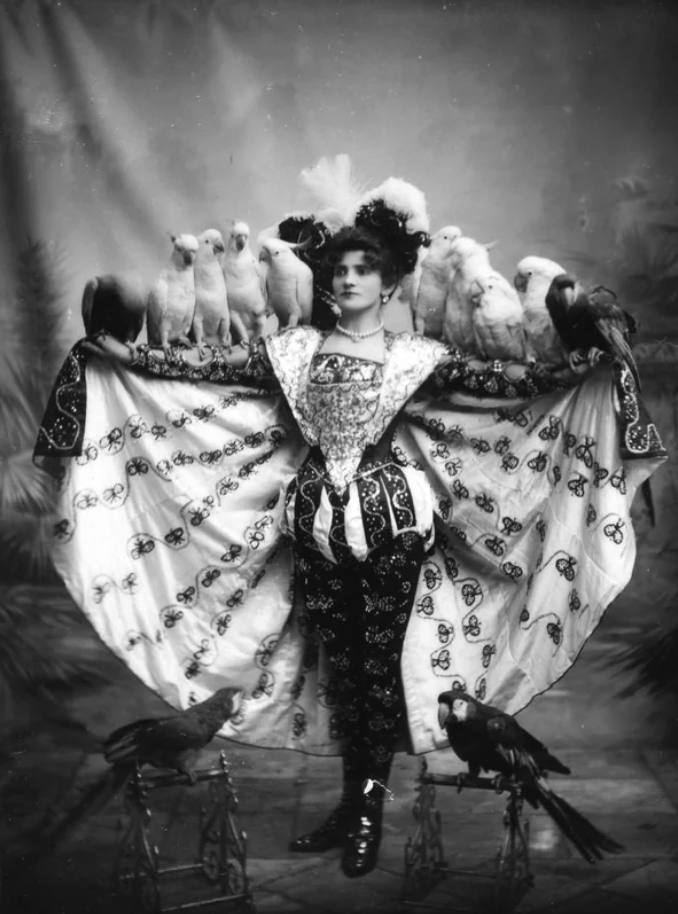 Madame Marzella and her trained parrots, performing on the Tivoli Circuit in Sydney, Australia, circa 1890.