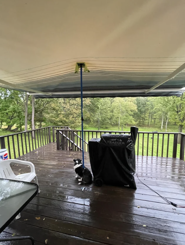 “Pitched my retractable awning so the rain wouldn’t collect on it while I smoked a pork shoulder.”