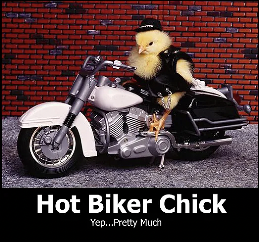 26 Biker Memes to Take With You On a Ride