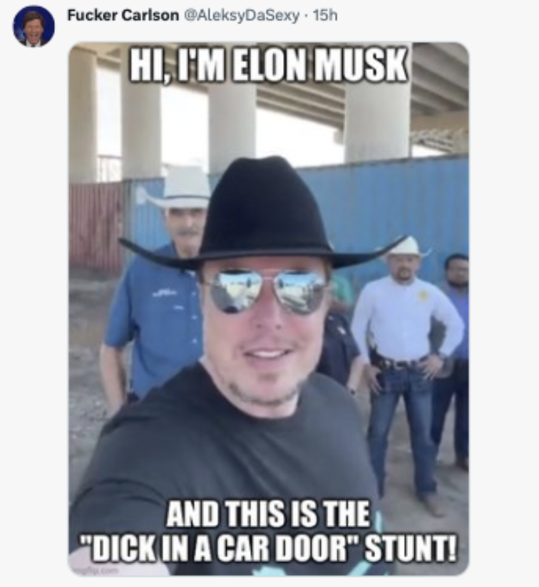 'Howdy Ma'm, Can I Interest You In a Divorce?': Cowboy Elon Memes Here To Fix the Border Crisis 