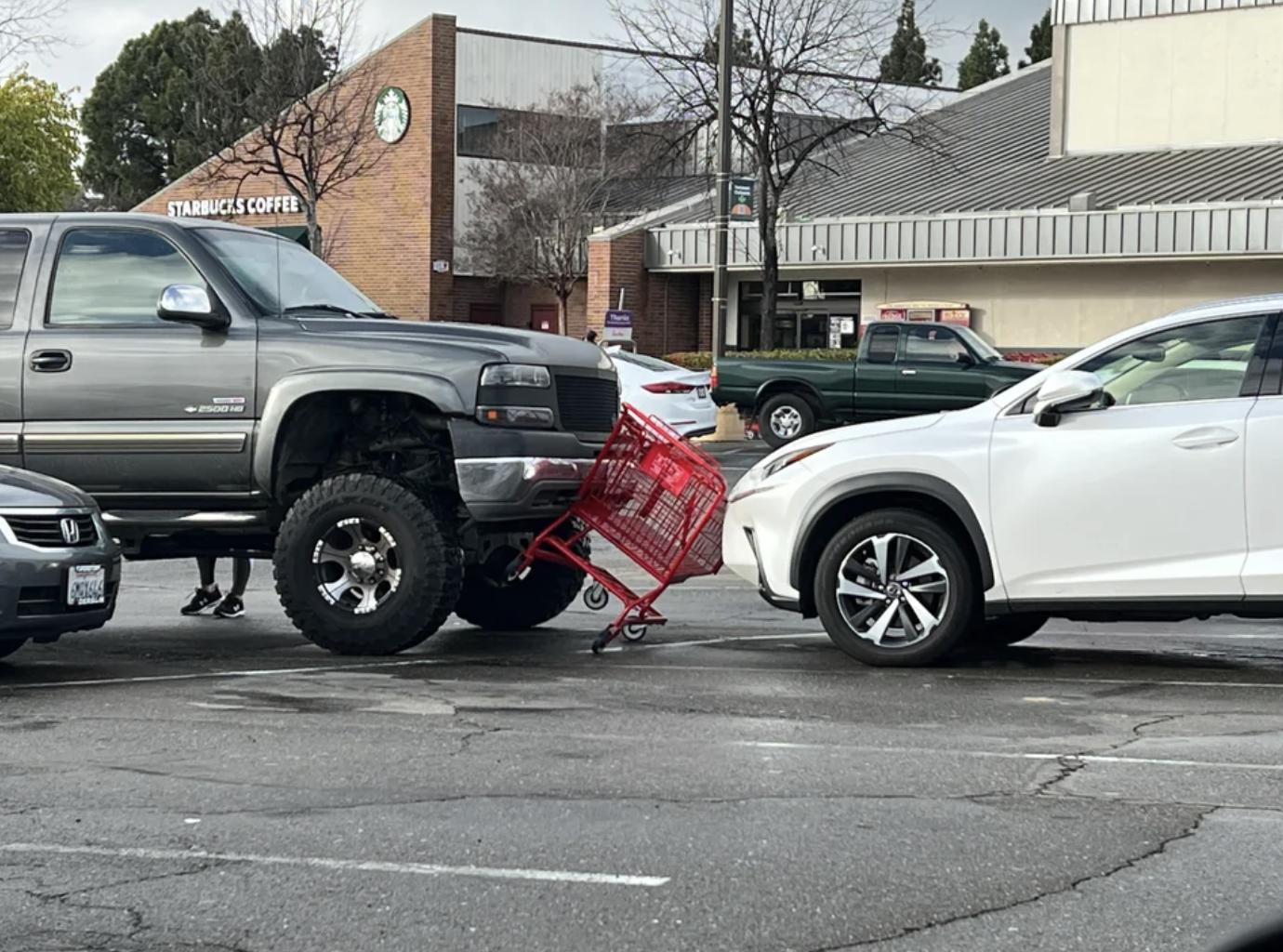 Lady in lifted truck couldn’t see the shopping cart.