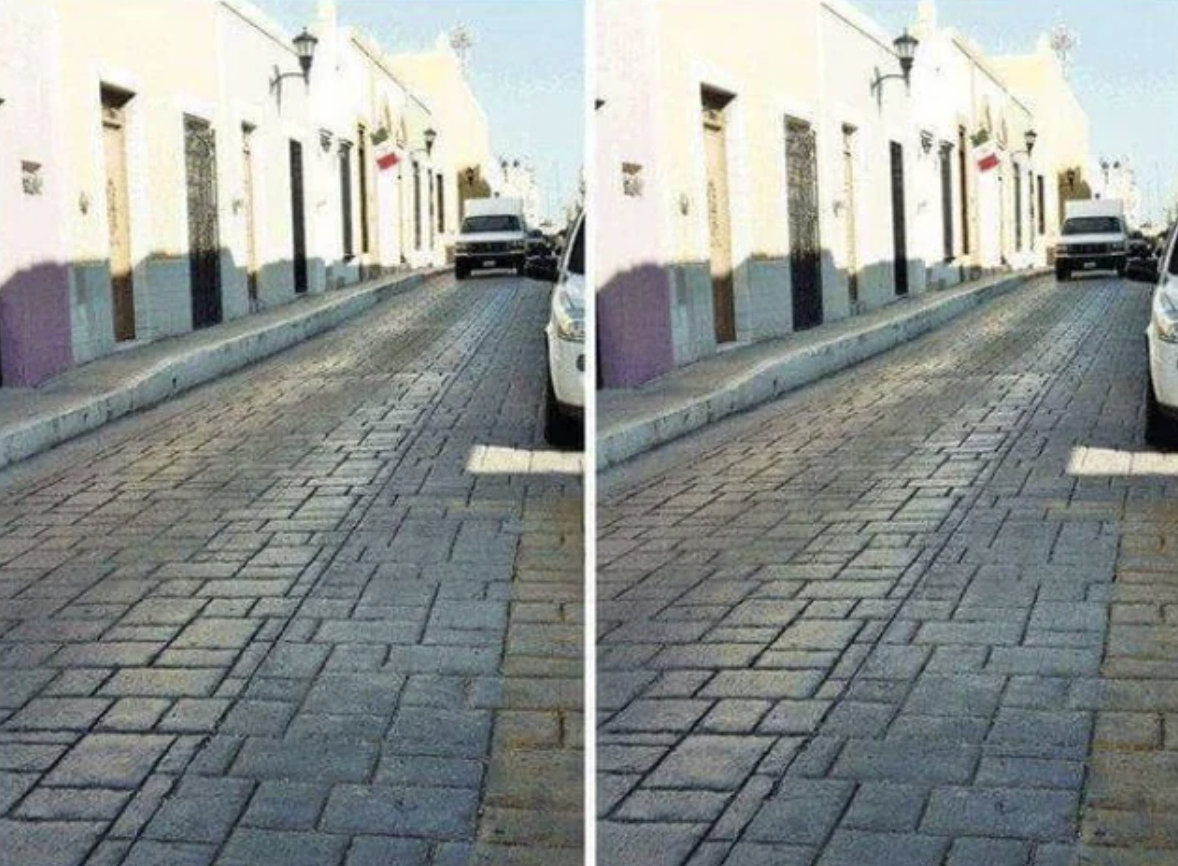 These are the same photo side by side.