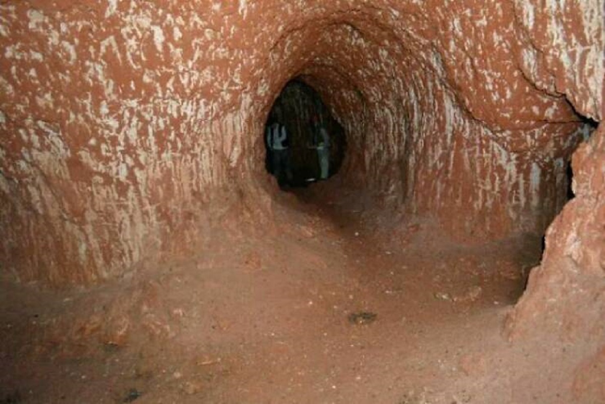 A Tunnel Dug By The Giant Ground Sloth In Brazil, 10,000 Years Ago.