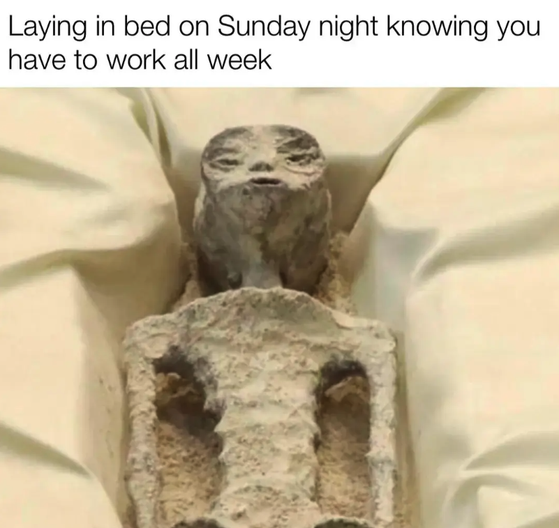 16 Work Memes To Induce the Sunday Scaries 