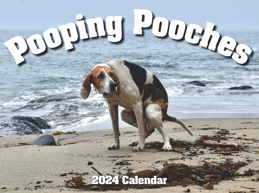 Pooping pooches calendar
