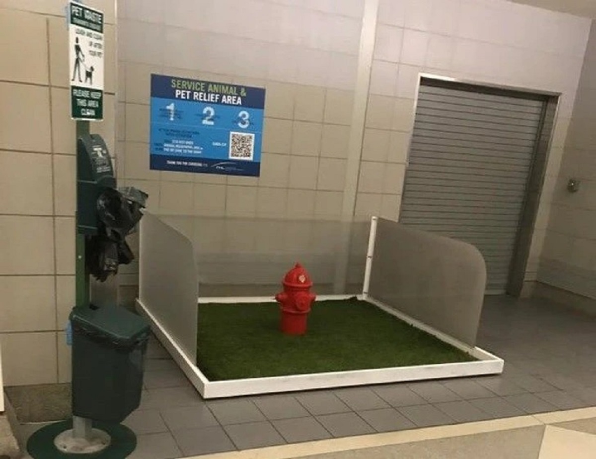 This Philadelphia airport has a fake fire hydrant with turf so service animals can do their business.