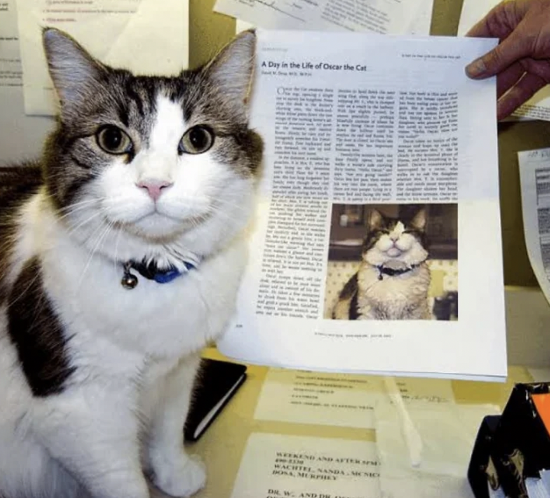 Oscar the Cat, who predicted over 100 deaths accurately.