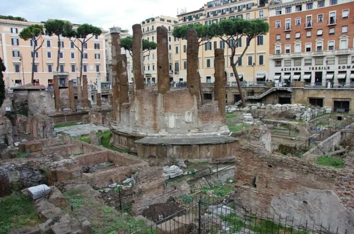 The place where Julius Caesar was murdered is now a sanctuary for cats.