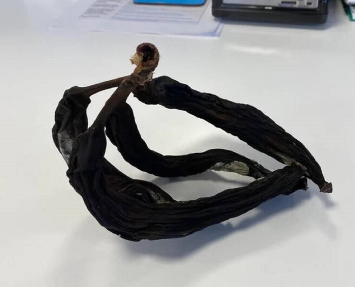 “What bananas looks like after being locked in a desk drawer for five months.’’