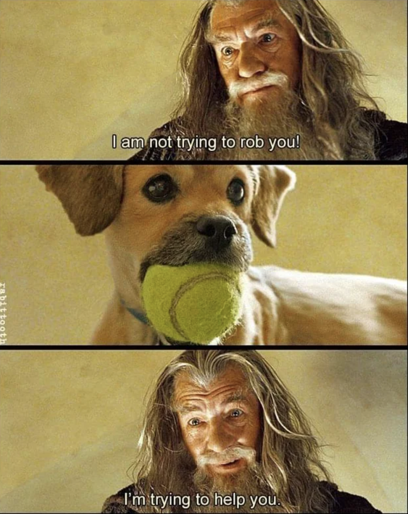 gandalf dog meme - I am not trying to rob you! I'm trying to help you.