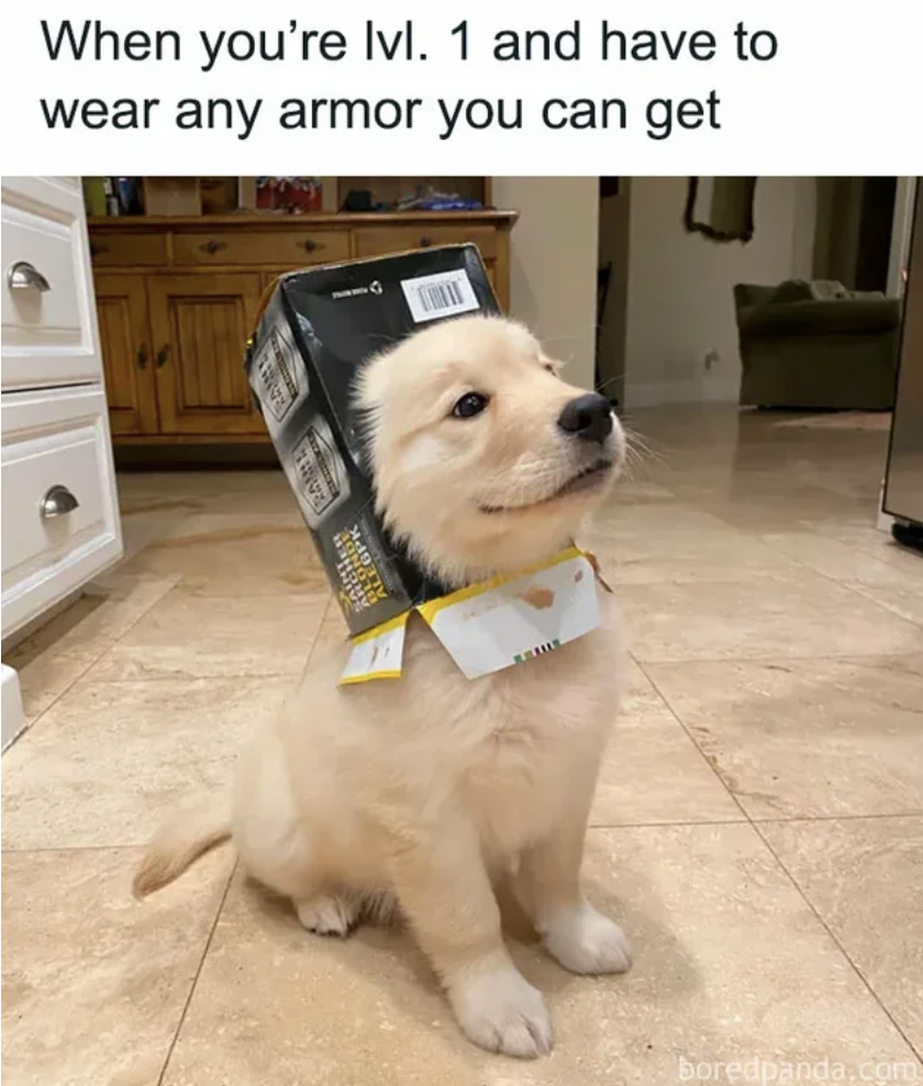 random memes on the internet - When you're lvl. 1 and have to wear any armor you can get Frate Spanda.com