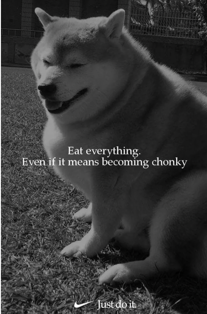 dog - Eat everything. Even if it means becoming chonky Just do it.