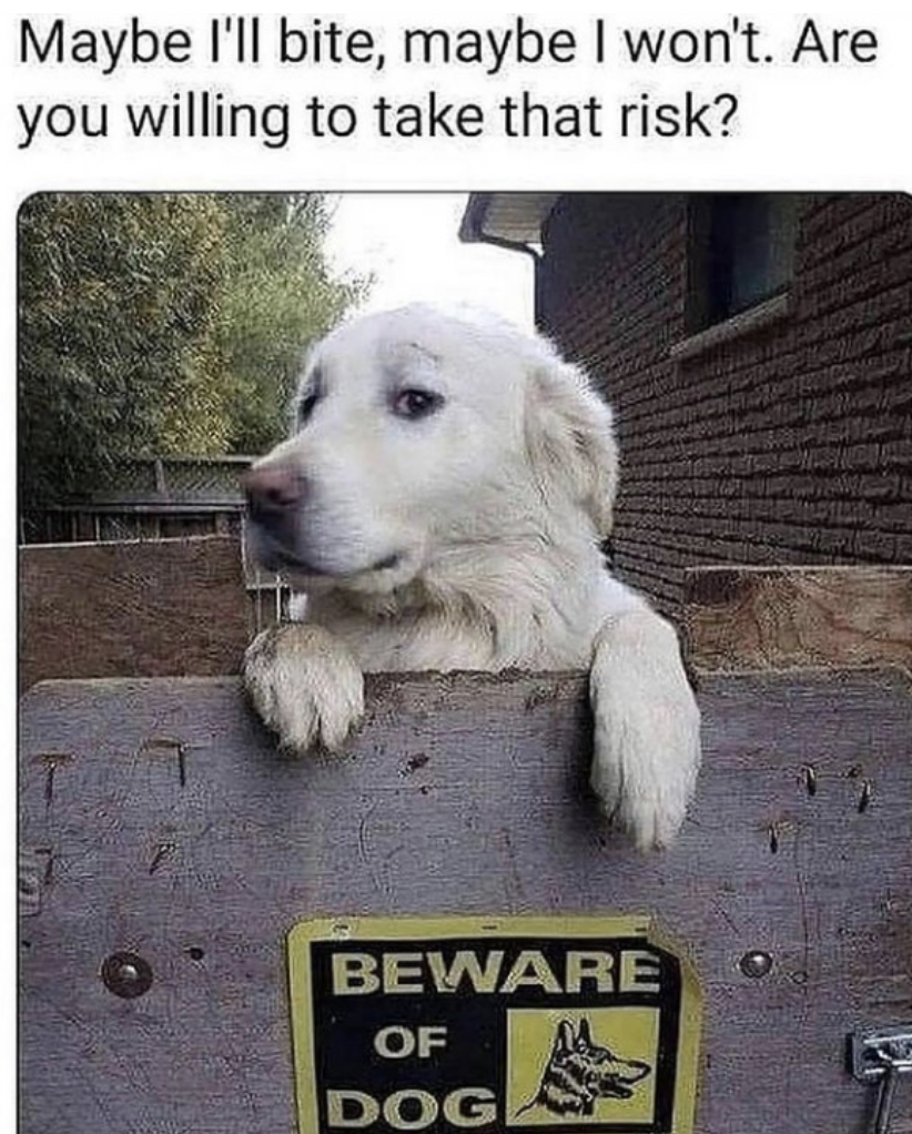 schrodinger dog meme - Maybe I'll bite, maybe I won't. Are you willing to take that risk? Beware Of Dog